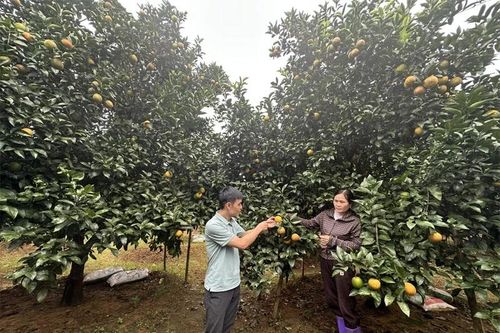 Điền Lư đưa nghị quyết đại hội Đảng vào cuộc sống