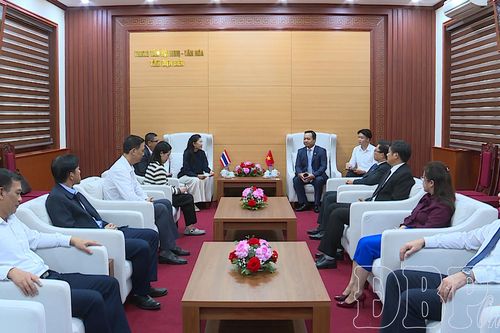 Bí thư Tỉnh ủy Trần Tiến Dũng tiếp Đại sứ Vương quốc Thái Lan tại Việt Nam