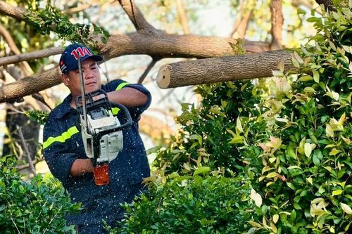 Công an tỉnh Gia Lai phát dọn cây xanh gãy đổ sau bão ở khu vực Quy Nhơn