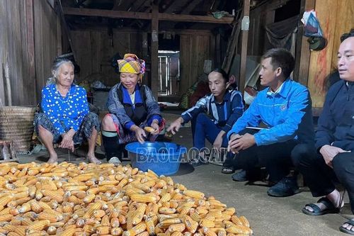 Ngọn cờ đầu trên đỉnh Làng Linh