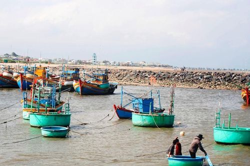 Liên Hương chuyển mình từ kinh tế biển đến nông nghiệp