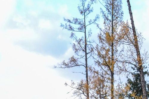 Tân Cương: Hành trình tự lái 2.500km qua mùa giao thoa