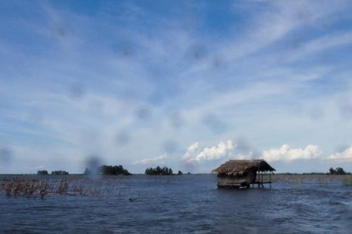 Mương Dú mùa nước nổi: Khám phá bản tình ca miền Tây