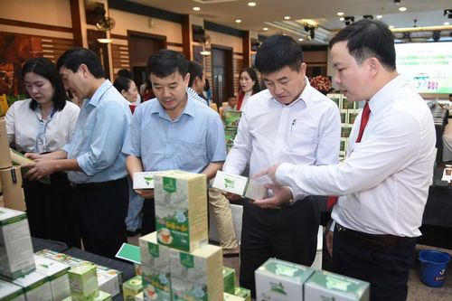 Quảng bá và hỗ trợ nông dân bán hàng trực tuyến