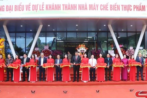 Khánh thành Nhà máy chế biến thực phẩm VFI Sơn La