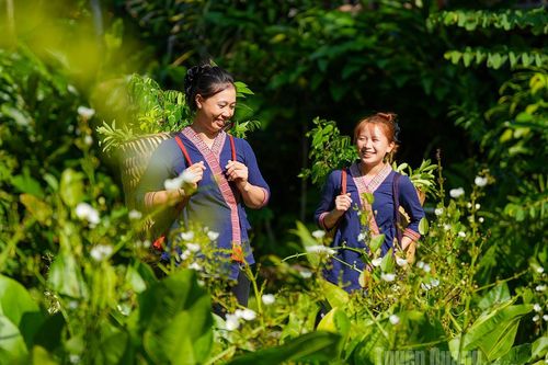 Khu nghỉ dưỡng xanh hàng đầu châu Á