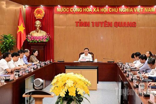 Đồng chí Nguyễn Mạnh Tuấn, Ủy viên Ban Thường vụ Tỉnh ủy, Phó Chủ tịch Thường trực UBND tỉnh dự họp trực tuyến Chính phủ thường kỳ tháng 10-2025