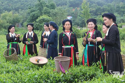 Khởi sắc ở một khu dân cư