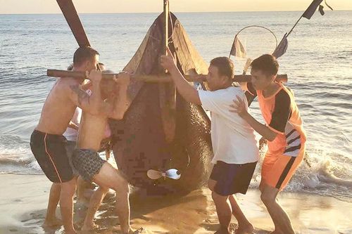 Mưu sinh mùa biển động