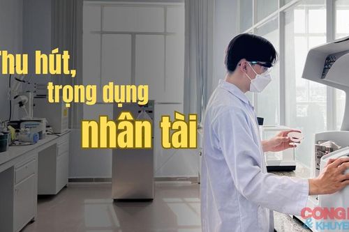 Lương, thưởng và câu chuyện thu hút nhân tài