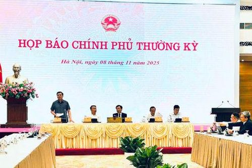 Sàn thương mại điện tử cơ bản không có hàng giả, hàng nhái