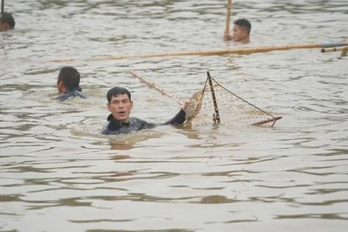 Hà Nội: Trai tráng ở Phúc Thọ hò reo bắt cá trên sông Tích Giang dưới trời lạnh