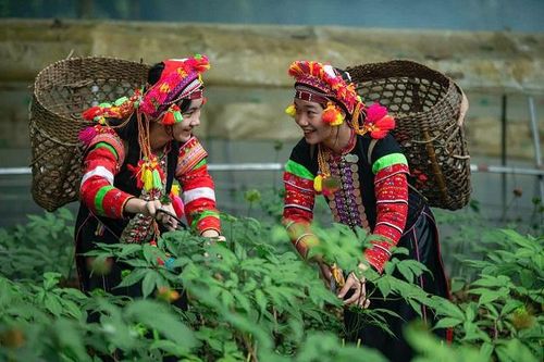 Sắp diễn ra Ngày hội sản phẩm vùng đồng bào dân tộc thiểu số và miền núi phía Bắc