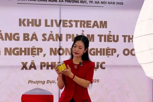 Xã Phượng Dực: điểm nhấn từ triển lãm các sản phẩm làng nghề thủ công mỹ nghệ năm 2025