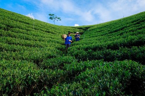 Du lịch cộng đồng đồng hành cùng người dân Thái Nguyên giảm nghèo
