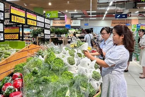 Nâng cấp tiêu chuẩn 'Doanh nghiệp xanh Thành phố Hồ Chí Minh'
