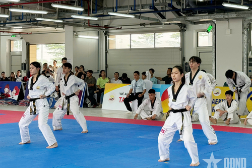 490 võ sinh thi thăng đẳng taekwondo quốc gia