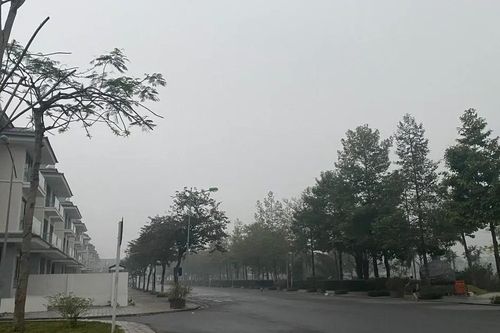 Miền Bắc: Nồm ẩm trái mùa, thời tiết dị thường