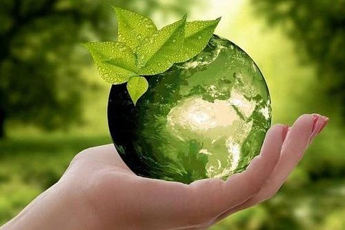 Bảo vệ môi trường phải là nền tảng của phát triển bền vững
