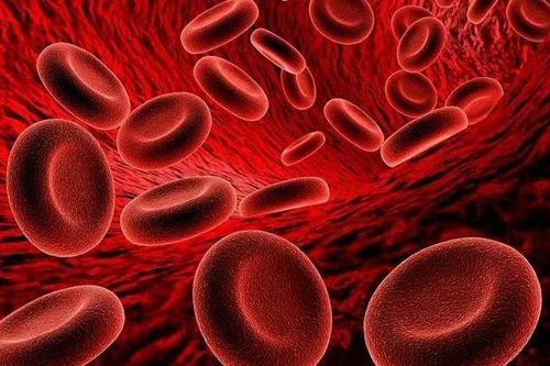 Dấu hiệu cảnh báo thiếu máu