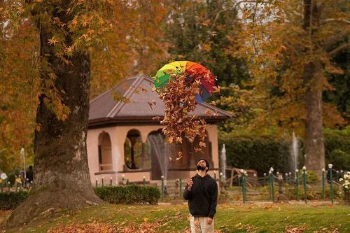 Ngắm mùa thu đẹp ngỡ ngàng ở Kashmir