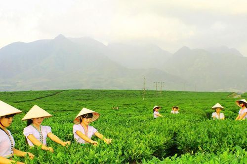 Nhiều hoạt động thú vị trong Ngày hội sản phẩm vùng đồng bào dân tộc thiểu số và miền núi phía Bắc năm 2025