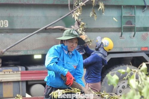 Tuổi trẻ Gia Lai tham gia khắc phục hậu quả bão số 13
