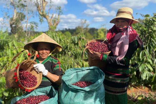 Vị thế ngành nông nghiệp Việt Nam trong bối cảnh hội nhập