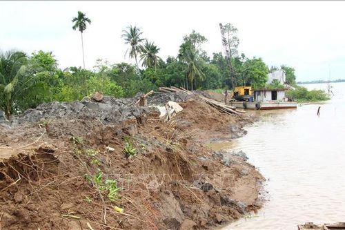 Vĩnh Long: Công bố tình huống khẩn cấp sạt lở đê bao cồn Thanh Long