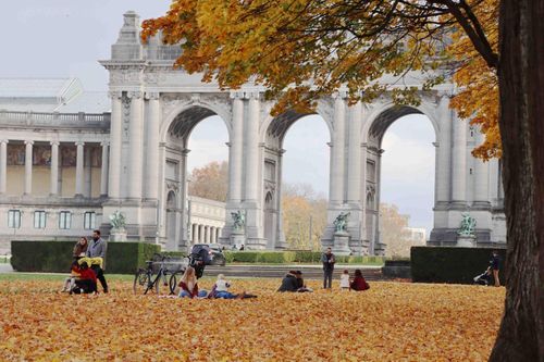 Mùa thu vàng ở Cinquantenaire – khoảnh khắc dịu dàng của Brussels