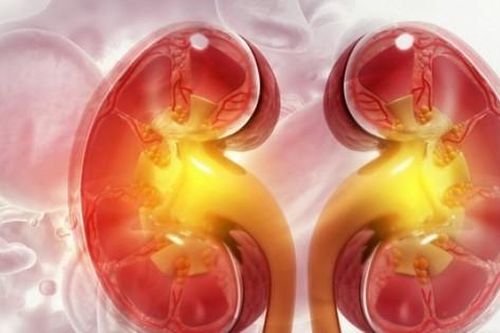 8 điều cần làm để bảo vệ 2 quả thận quý hơn vàng