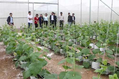 Dấu ấn nông nghiệp hiện đại