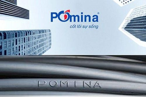 Pomina triệu tập họp cổ đông bất thường, bàn phương án tái cấu trúc