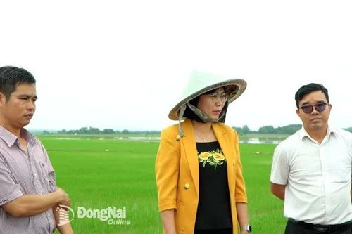 Phó Chủ tịch UBND tỉnh Nguyễn Thị Hoàng khảo sát tình hình ngập lụt tại xã Phú Hòa