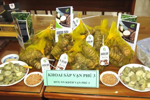 Xã Vạn Ninh triển khai chương trình OCOP năm 2025