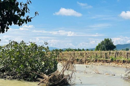 Người dân Hàm Thạnh bất an vì sạt lở nghiêm trọng ở sông Linh