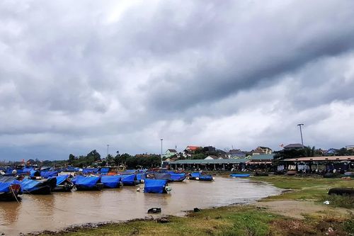 Lao xao chợ cá Cửa Tùng