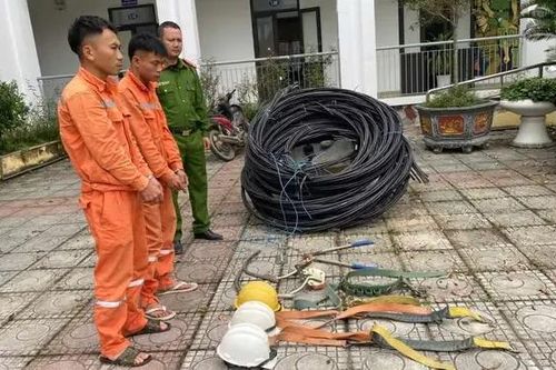Bắt nhóm đối tượng giả thợ điện trộm cắp tài sản