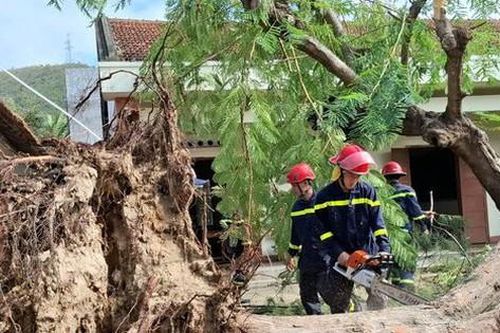 Sở Giáo dục và Đào tạo Đắk Lắk yêu cầu chỉ tổ chức dạy học khi đã được xác nhận đủ điều kiện an toàn