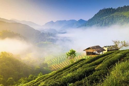 Du lịch Đông Nam Á tận hưởng vẻ đẹp mùa mưa Việt Nam, Thái Lan