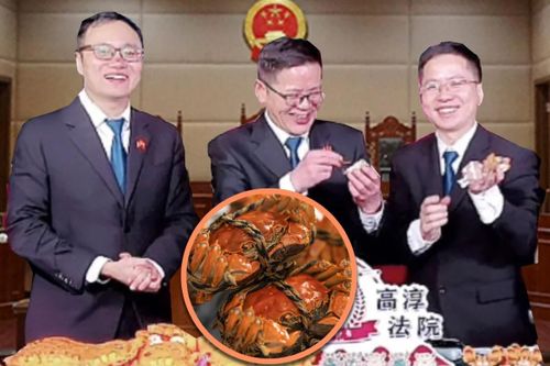 3 thẩm phán livestream bán cua giúp người dân phá sản trả nợ