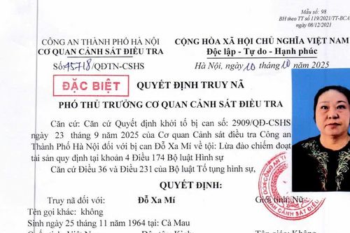 Truy nã đặc biệt bị can Đỗ Xa Mí về tội lừa đảo