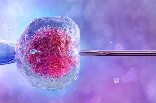 Dự án sửa gene phôi thai được tỷ phú hậu thuẫn