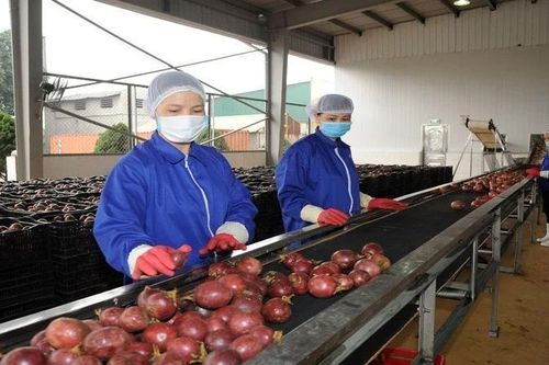 OCOP và du lịch với kinh tế nông thôn