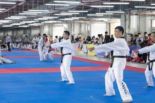 Taekwondo Hà Nội và khát vọng vươn tầm quốc tế