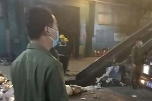 Lãnh đạo UBND phường Bến Cát (TPHCM): Xác đà điểu được tiêu hủy đúng quy trình