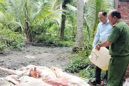 Phát hiện lượng lớn thịt heo bốc mùi hôi thối trong lò mổ ở Vĩnh Long