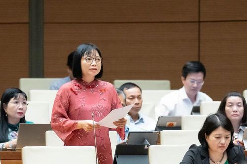 Đề nghị xem xét hỗ trợ những cặp vợ chồng hiếm muộn