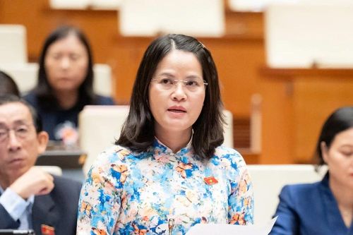 Làm rõ trách nhiệm cơ sở khám thông đồng, làm sai lệch kết quả để giả bệnh