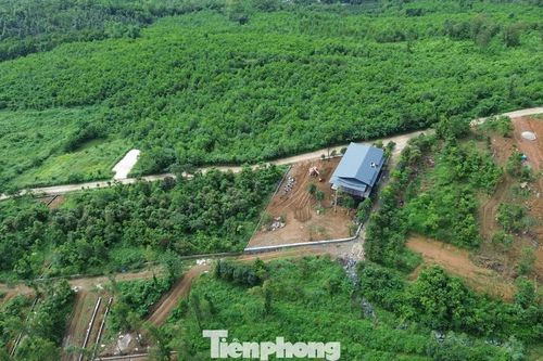 Hà Nội xử lý chủ đầu tư tự ý xây dựng công trình trên đất rừng
